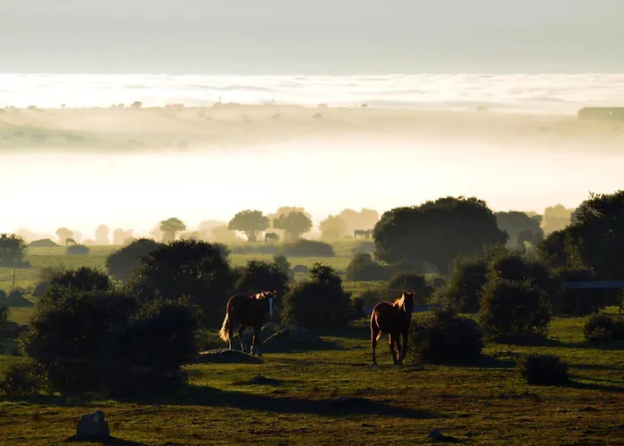 Casas Hazas * La Cuesta (Castile and Leon)